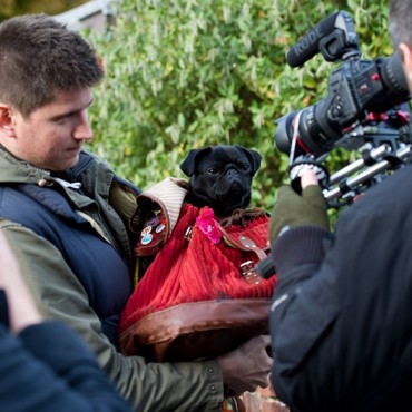 Photo - Petula in rucksack