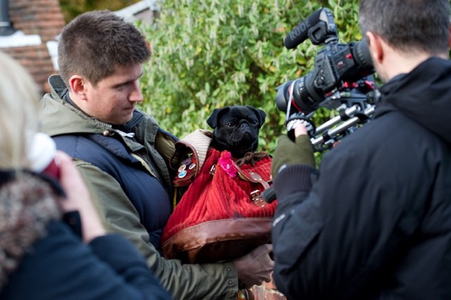 Photo - Petula in rucksack