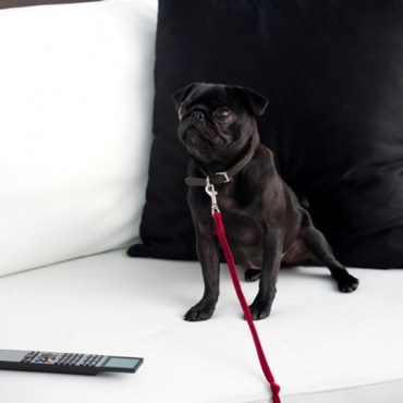 Petula in luxury hotel - still from the movie