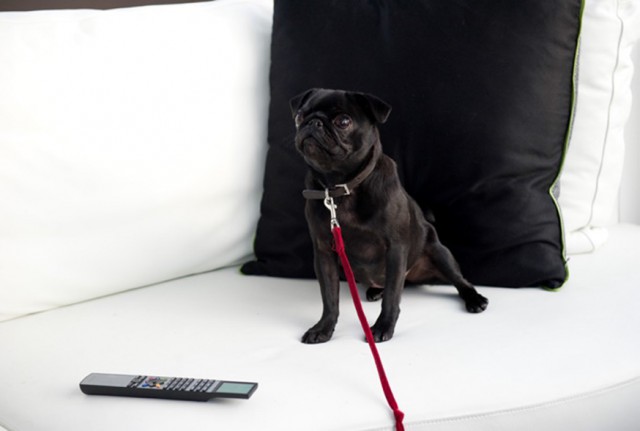 Petula in luxury hotel - still from the movie